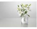 Four Flower Vase